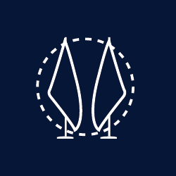 Descripción de la imagen